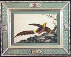 China Trade Watercolors of Birds in Églomisé Frames