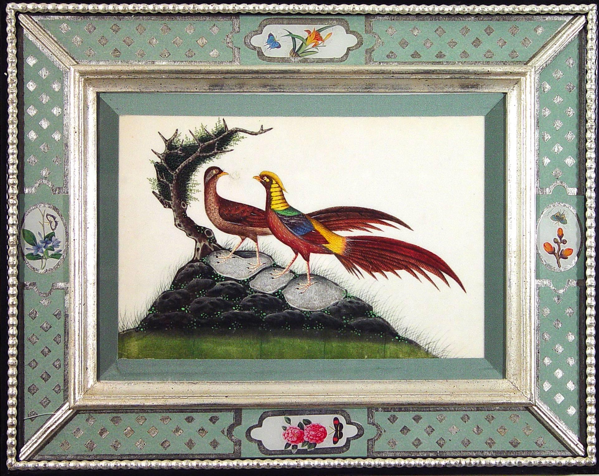 Chinese Export China Trade Watercolors of Birds in Églomisé Frames