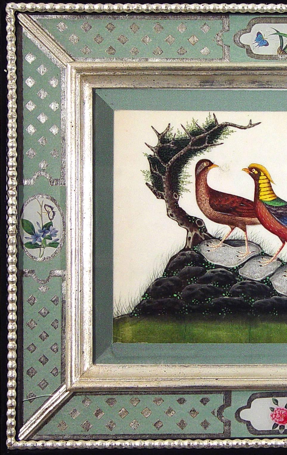 Chinese China Trade Watercolors of Birds in Églomisé Frames