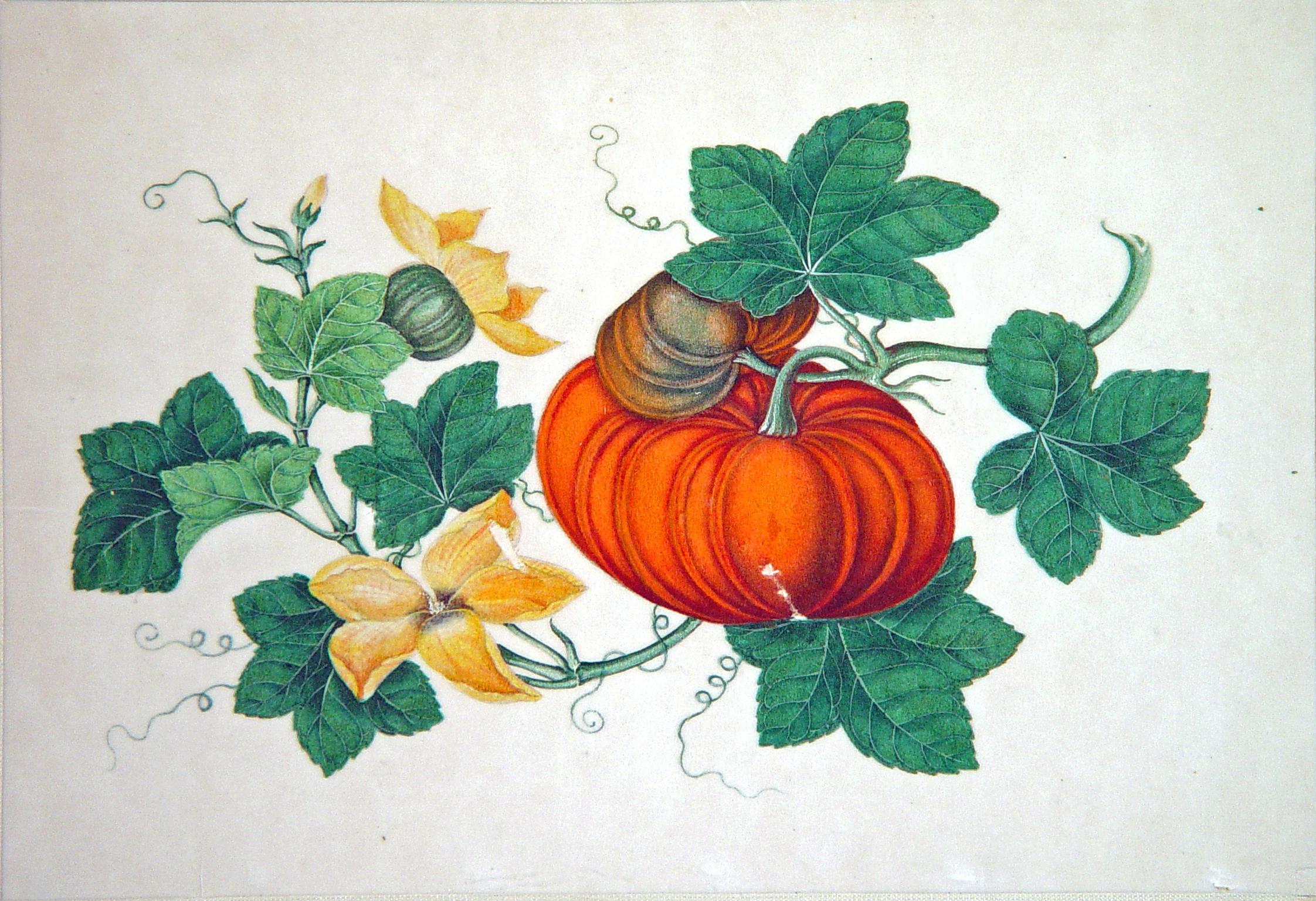 Chinesisches Handels-Aquarell von exotischen Früchten auf Kissenpapier, Mitte des 19. Jahrhunderts im Angebot 5