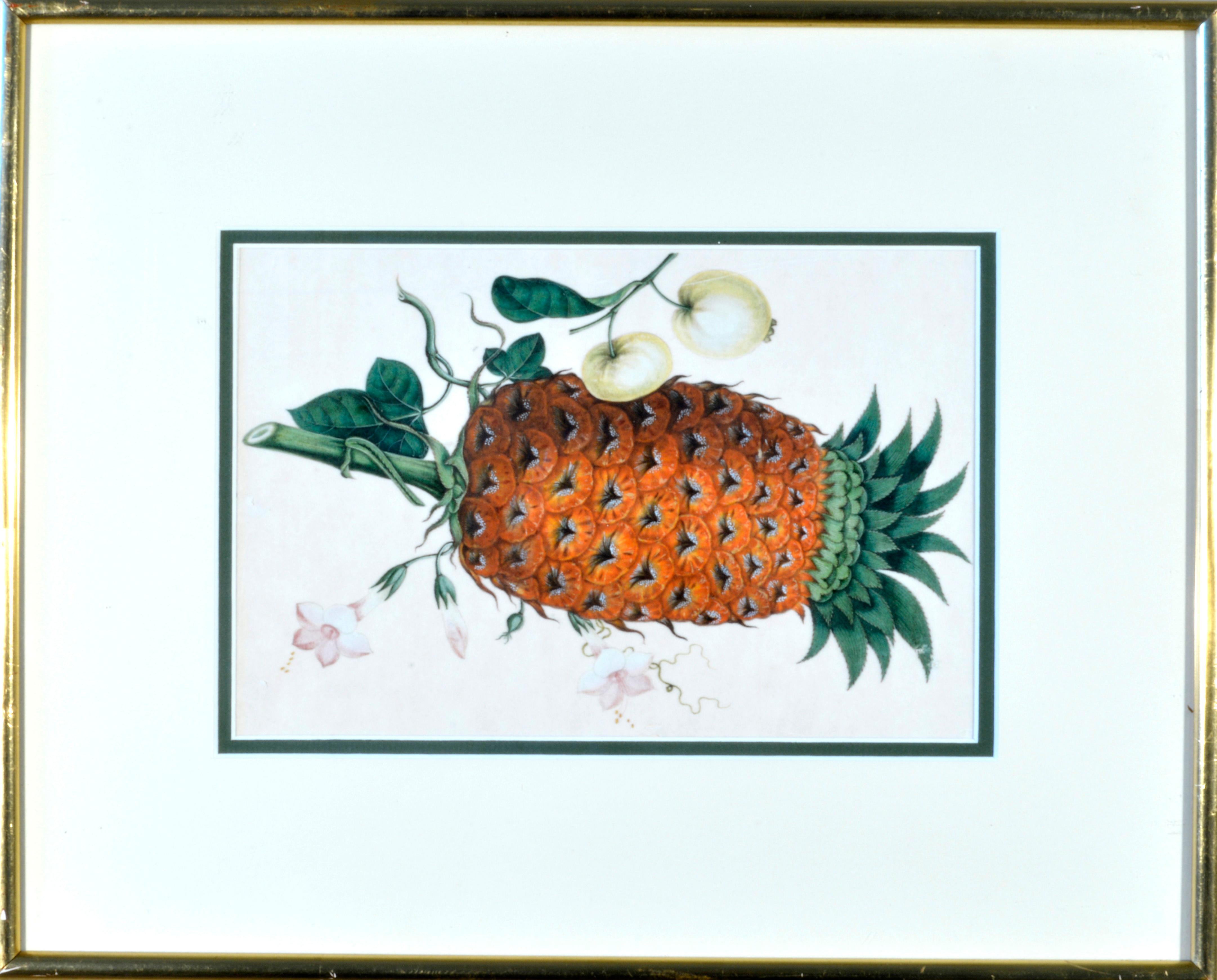 China Trade Watercolors of Exotic Fruit on Pith Paper, Mid-19th Century For Sale 7