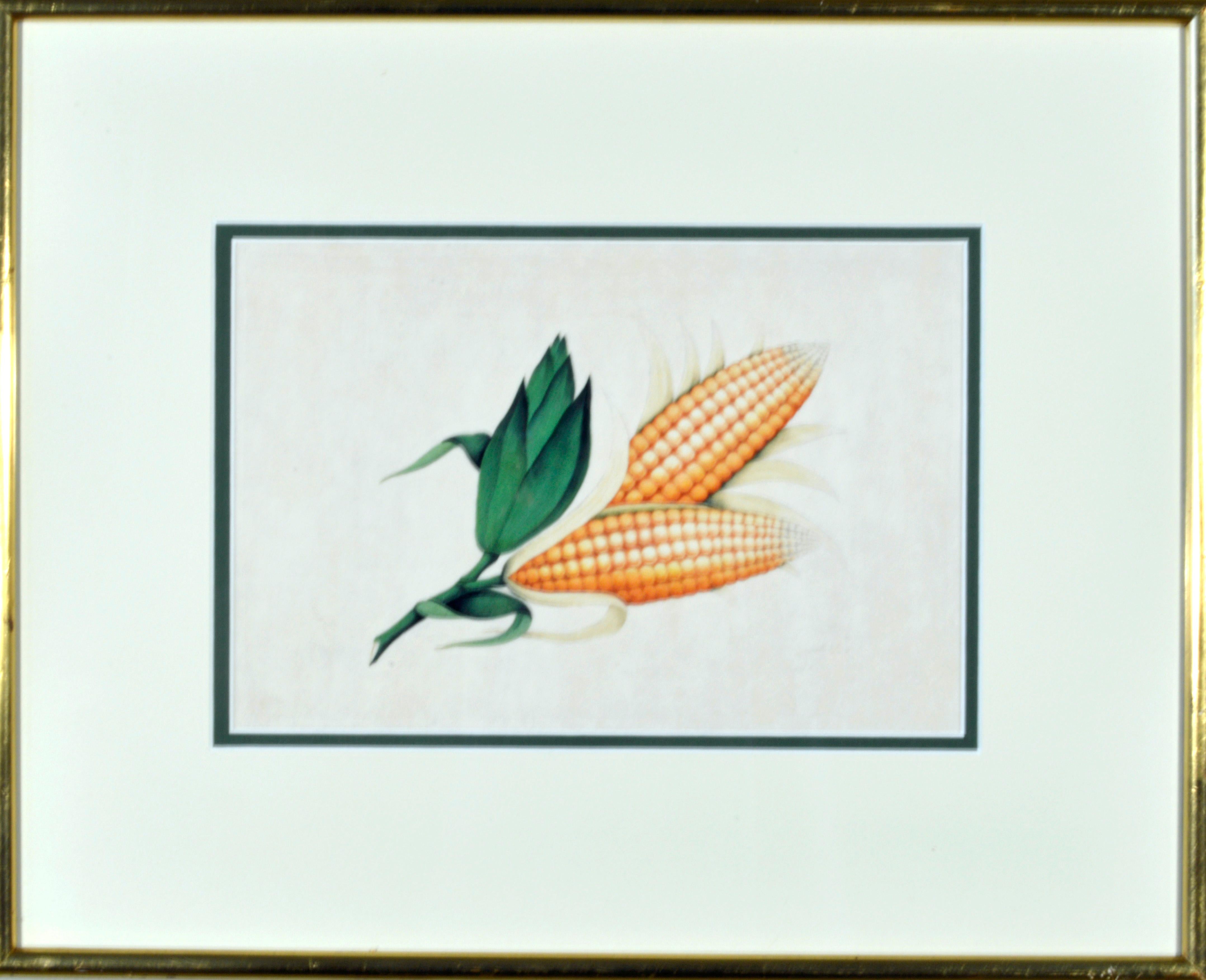 China Trade Watercolors of Exotic Fruit on Pith Paper, Mid-19th Century 13