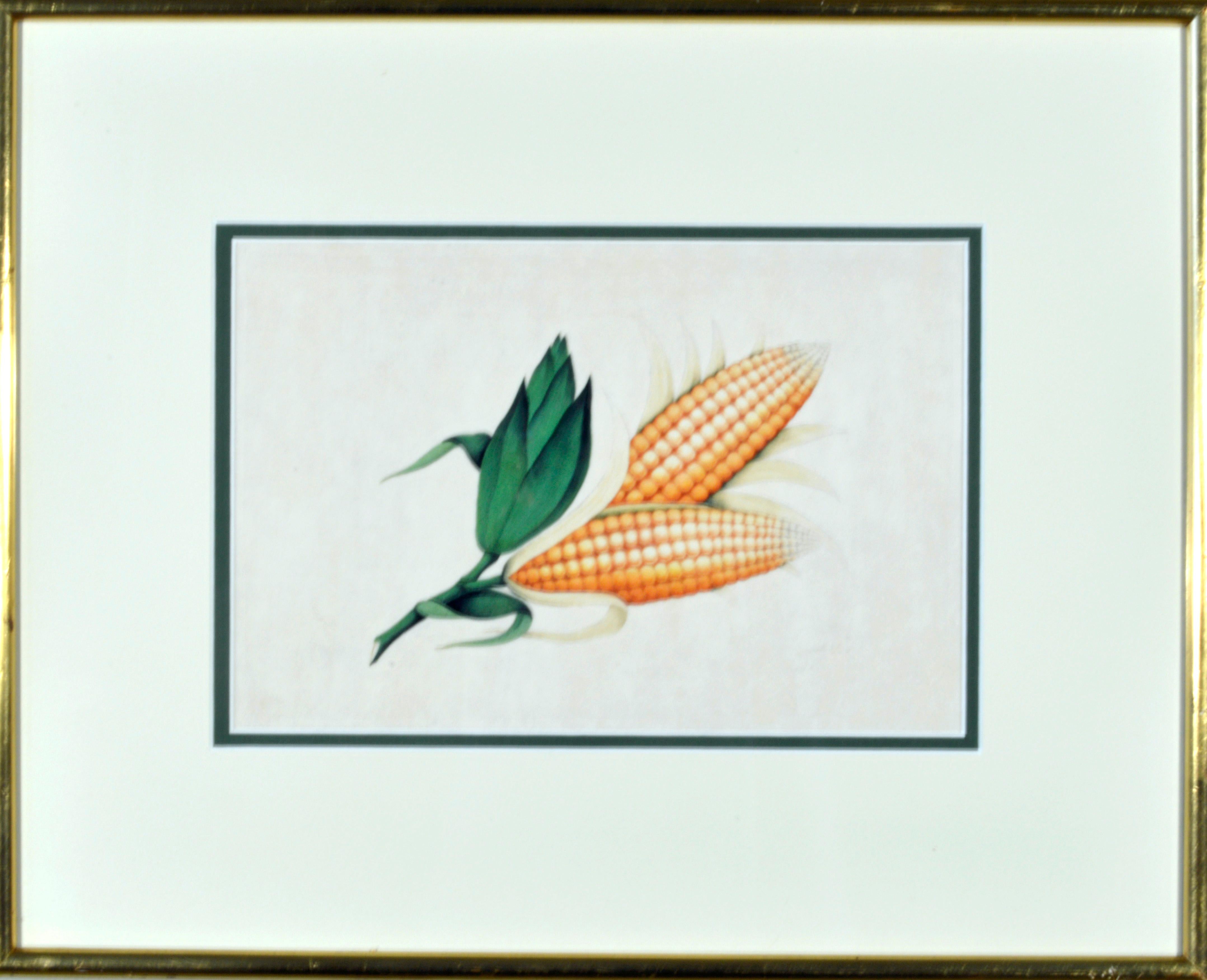 China Trade Watercolors of Exotic Fruit on Pith Paper, Mid-19th Century For Sale 13