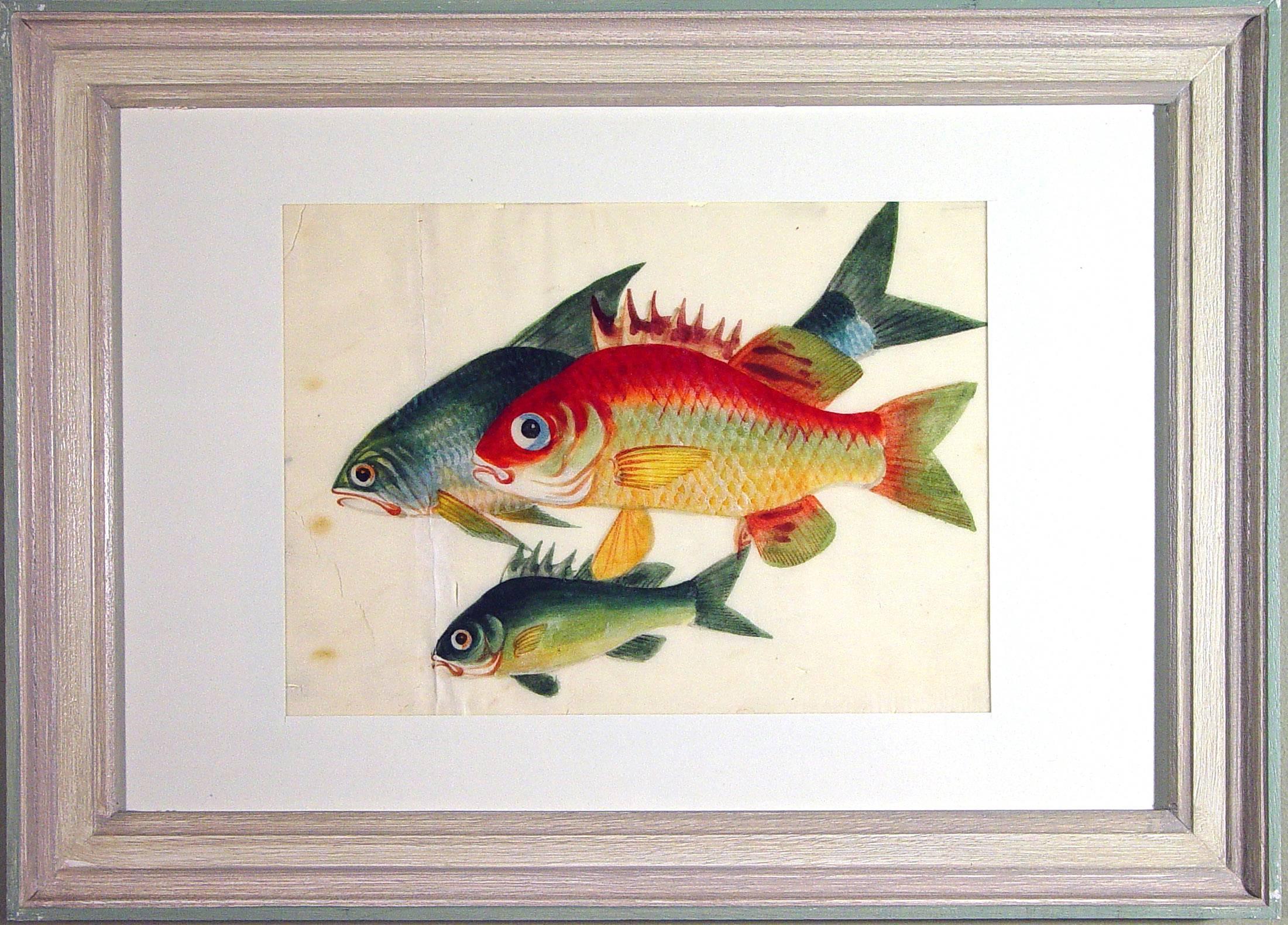 China Trade Watercolors of Fish on Pith Paper, circa 1850 3