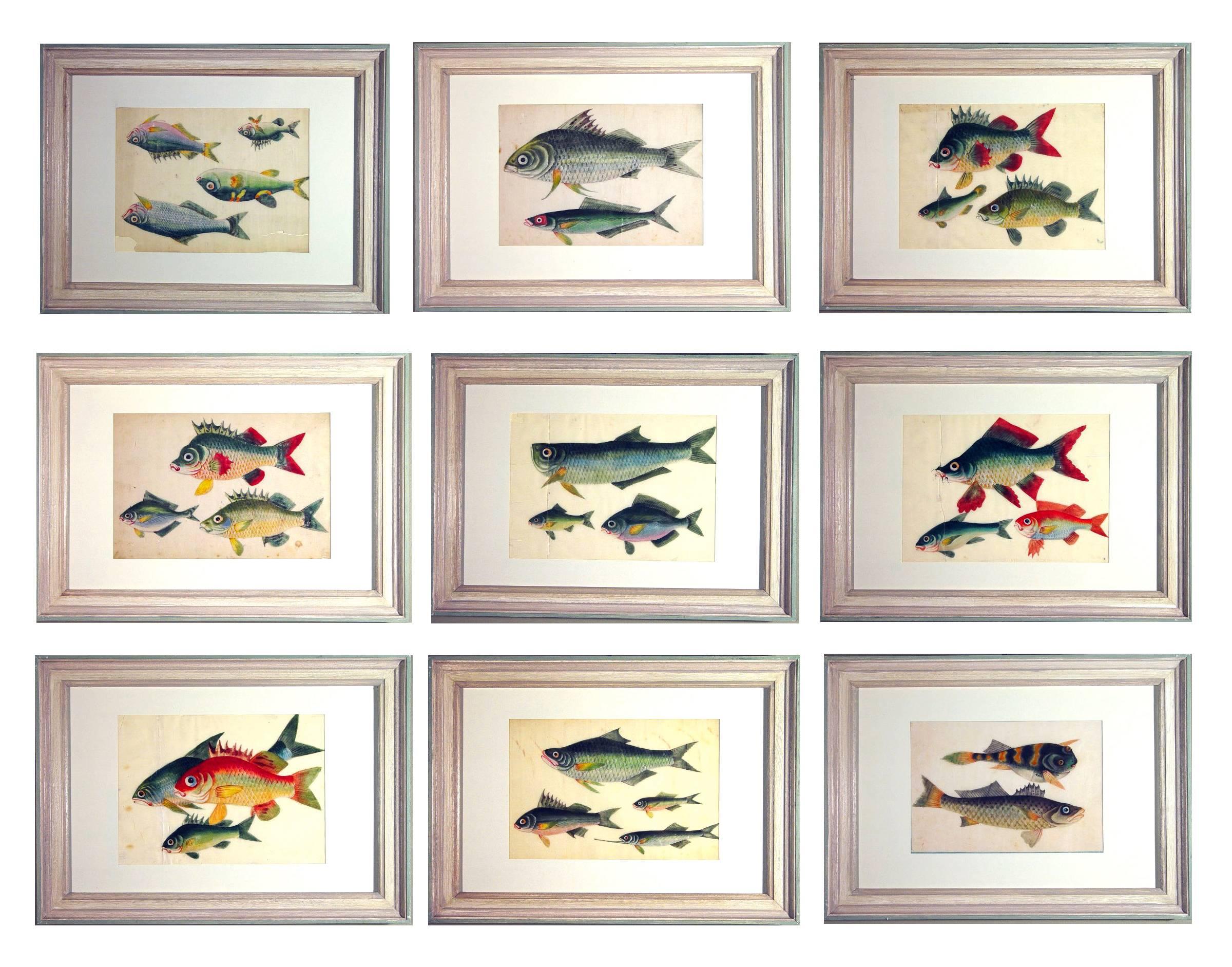 China Trade Watercolors of Fish on Pith Paper, circa 1850 4