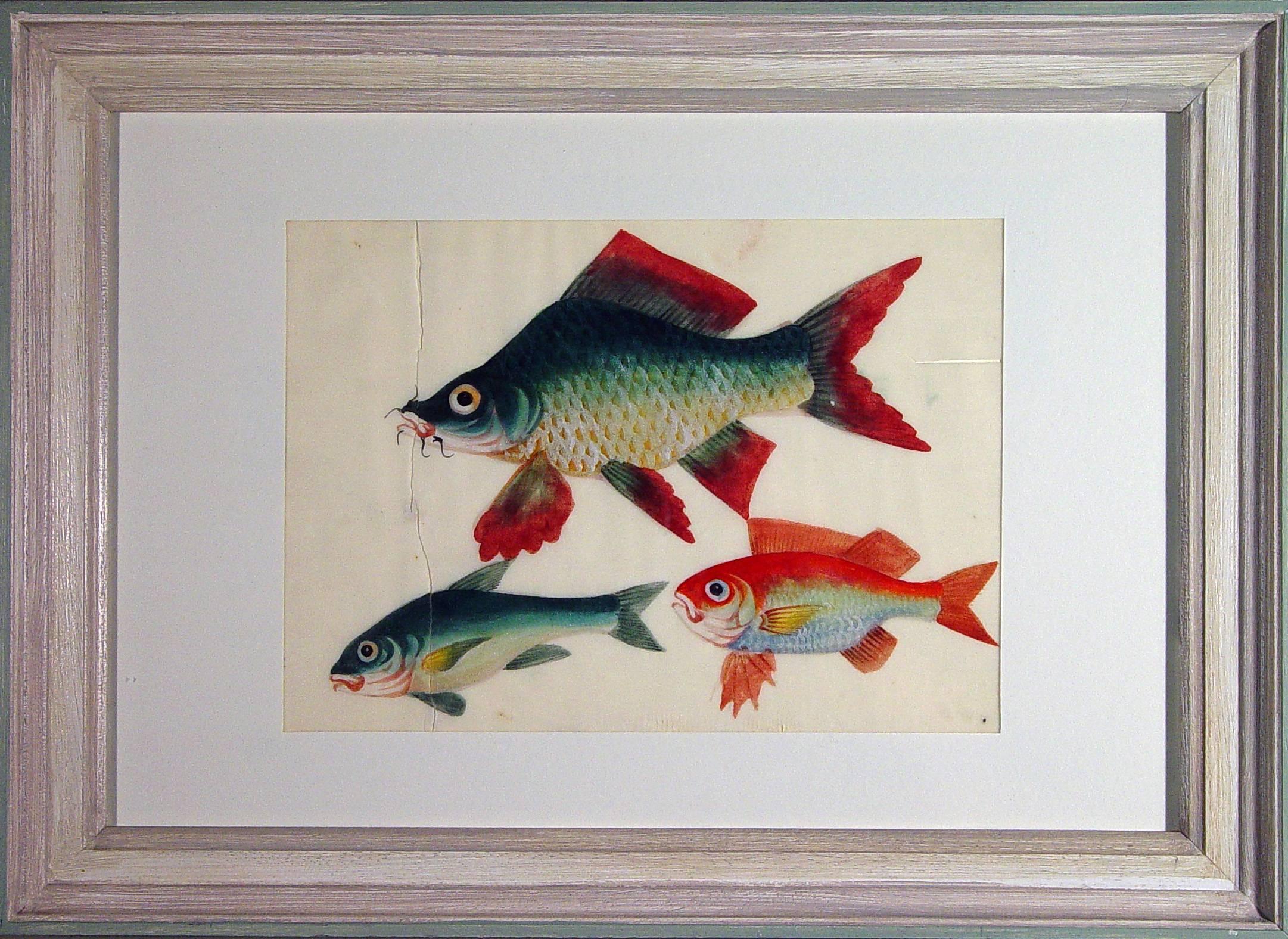 Folk Art China Trade Watercolors of Fish on Pith Paper, circa 1850
