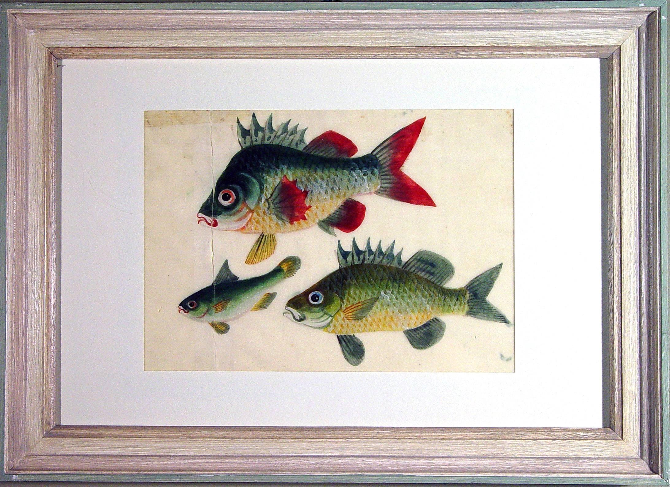 Hand-Painted China Trade Watercolors of Fish on Pith Paper, circa 1850