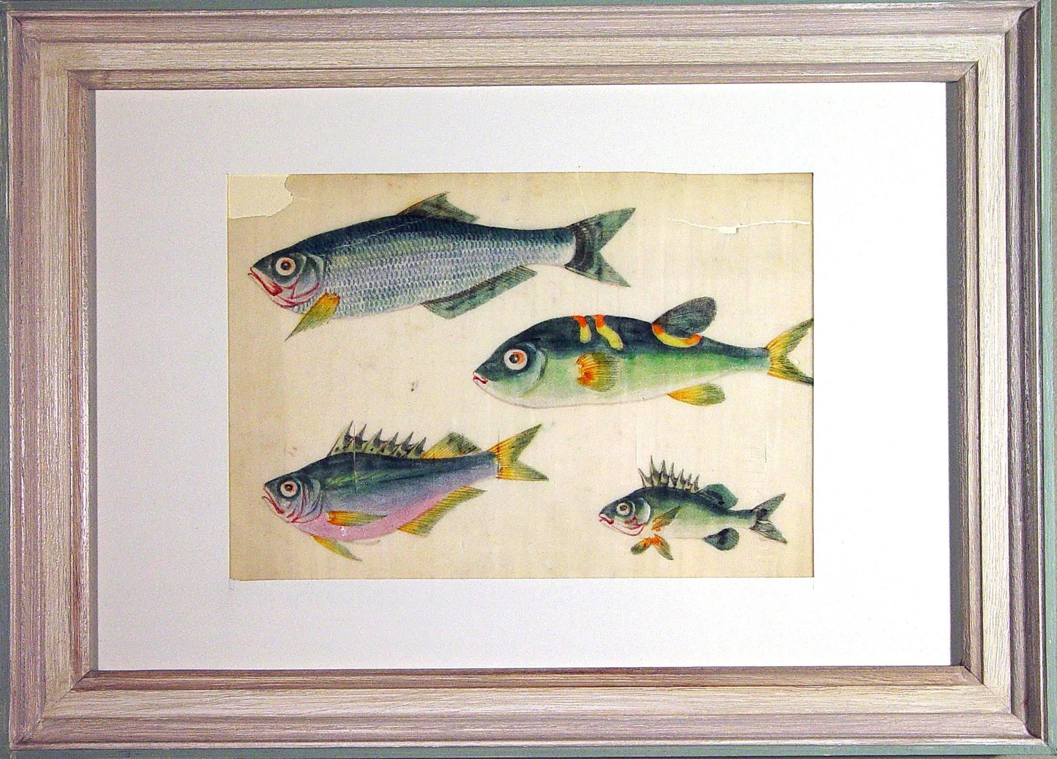 China Trade Watercolors of Fish on Pith Paper, circa 1850 2