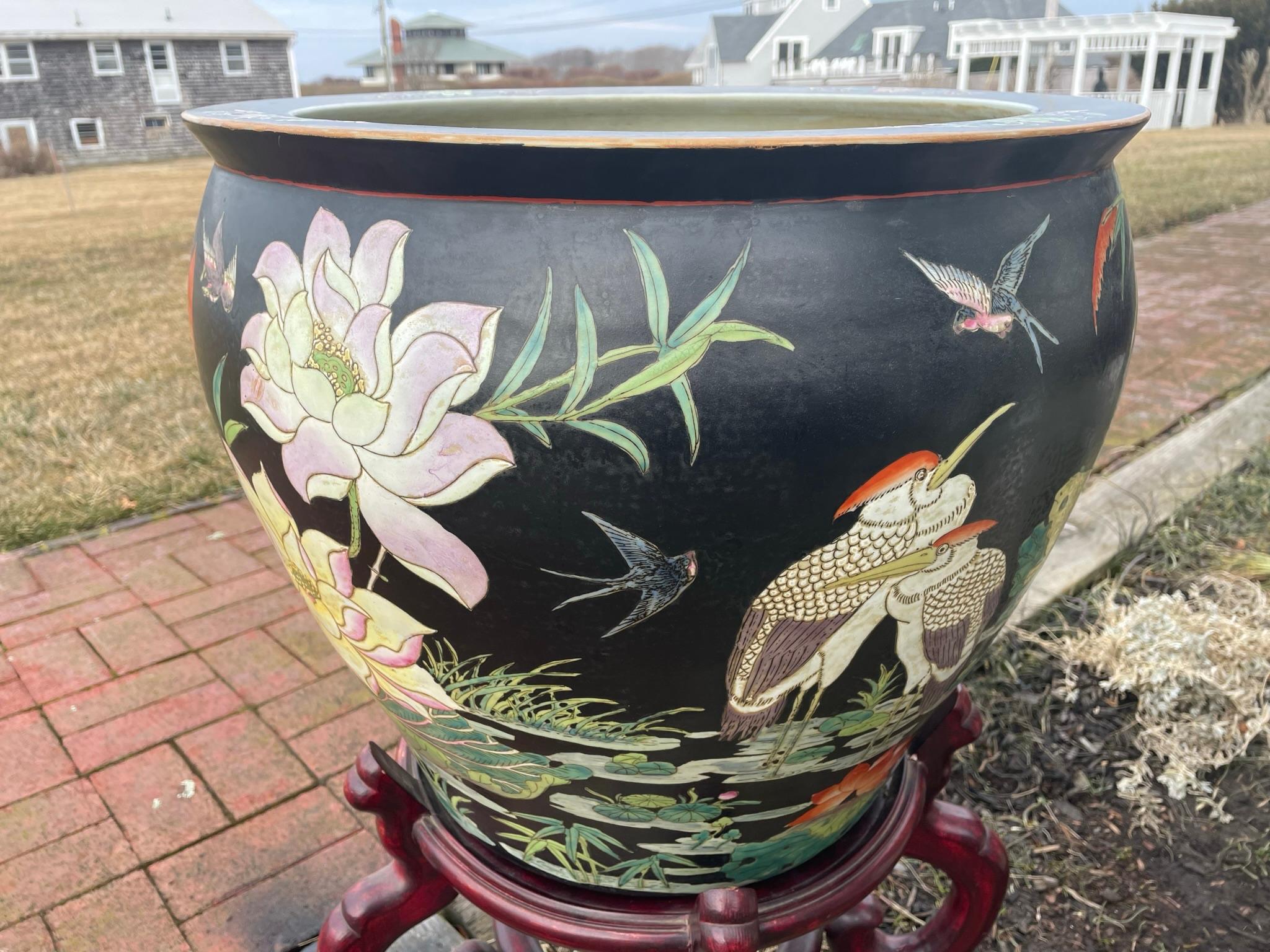 koi planter