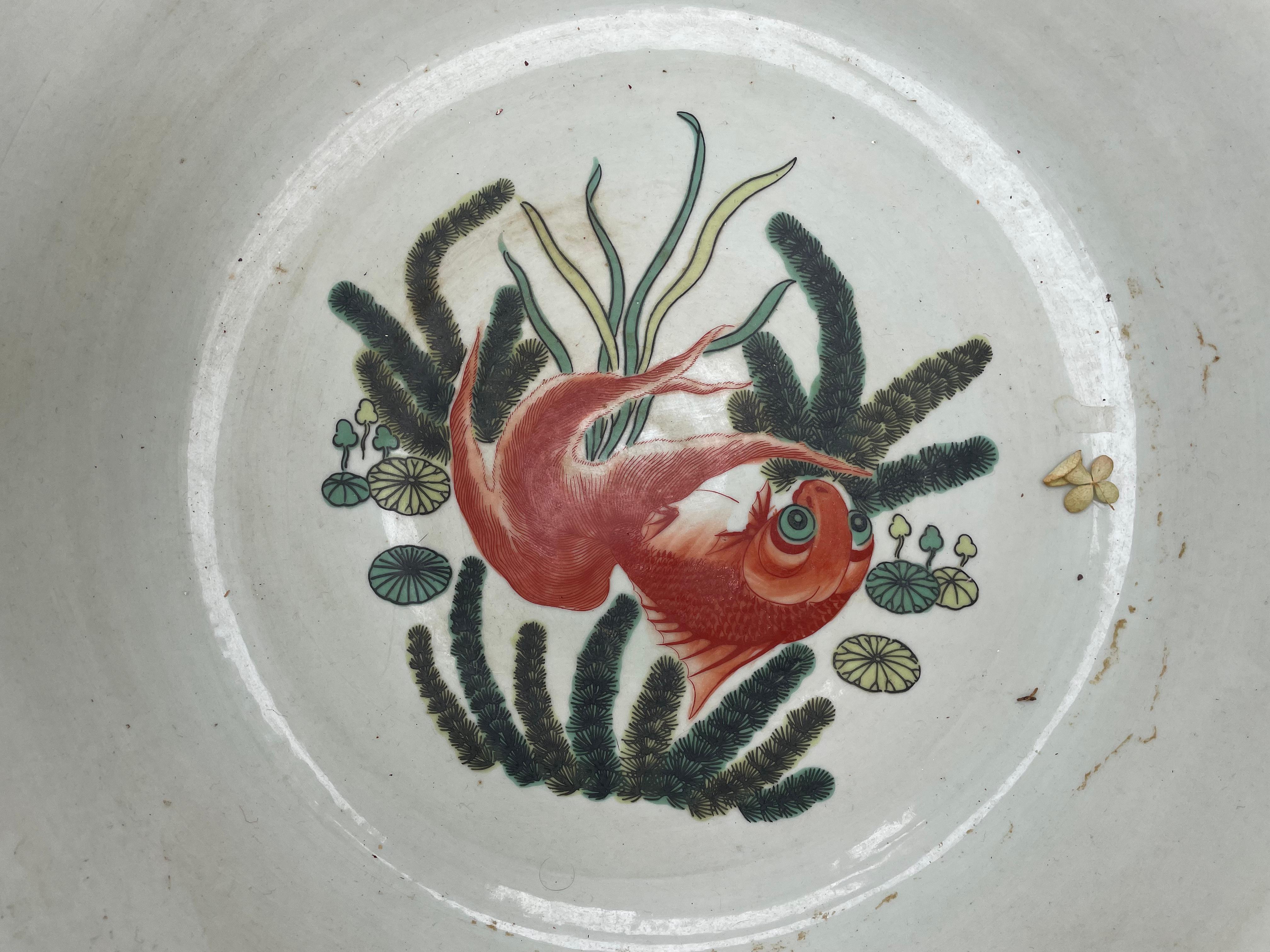 20th Century China Vintage Big Koi & Birds Planter Koi Bowl with Hardwood Stand