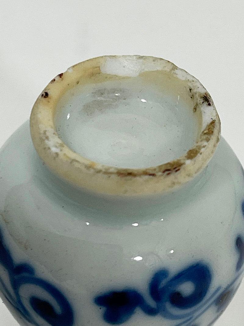 Vasi cinesi in miniatura di porcellana blu e bianca Kangxi del XVIII secolo in vendita 1
