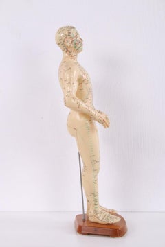 Chinese Acupuncture Doll Soft Rubber Man