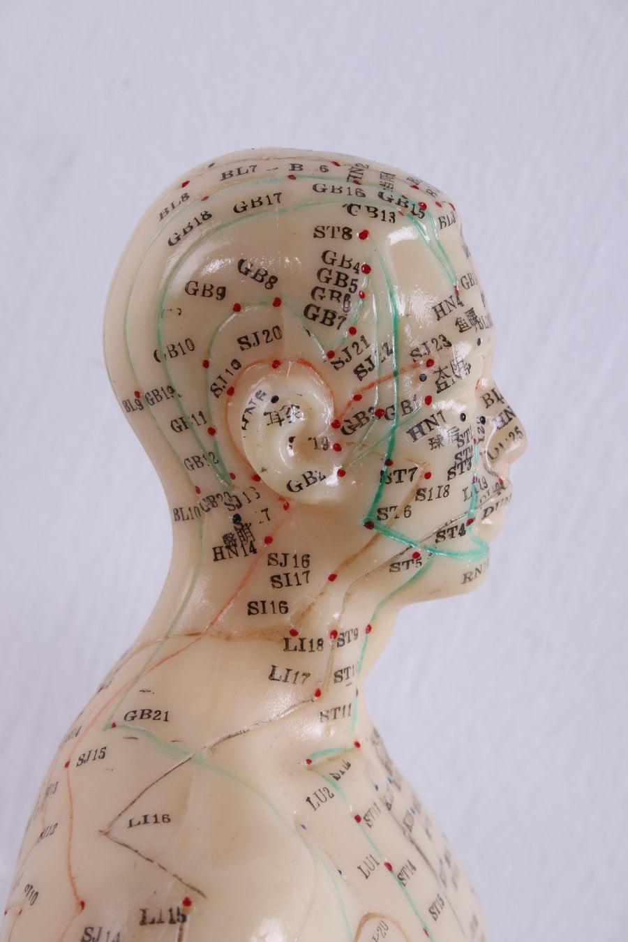 Mid-Century Modern Chinese Acupuncture Doll Soft Rubber Man For Sale