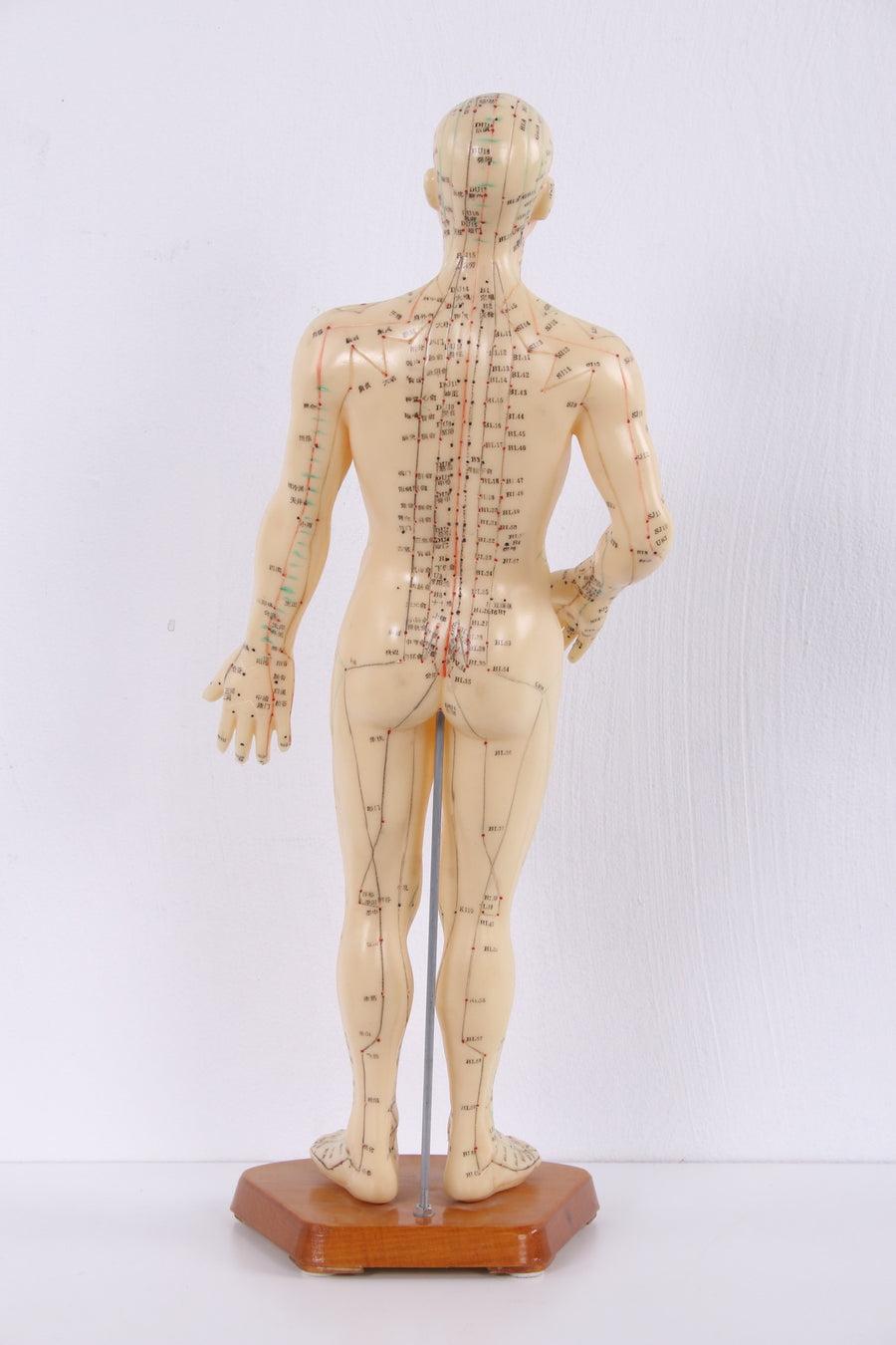 Chinese Acupuncture Doll Soft Rubber Man In Good Condition For Sale In Oostrum-Venray, NL