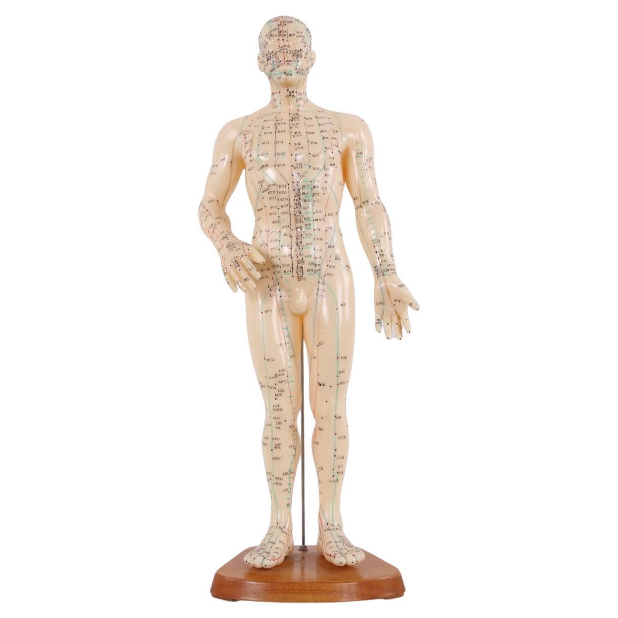 Chinese Acupuncture Doll Soft Rubber Man