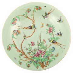 Chinese Antique Famille Rose Celadon Canton Dish