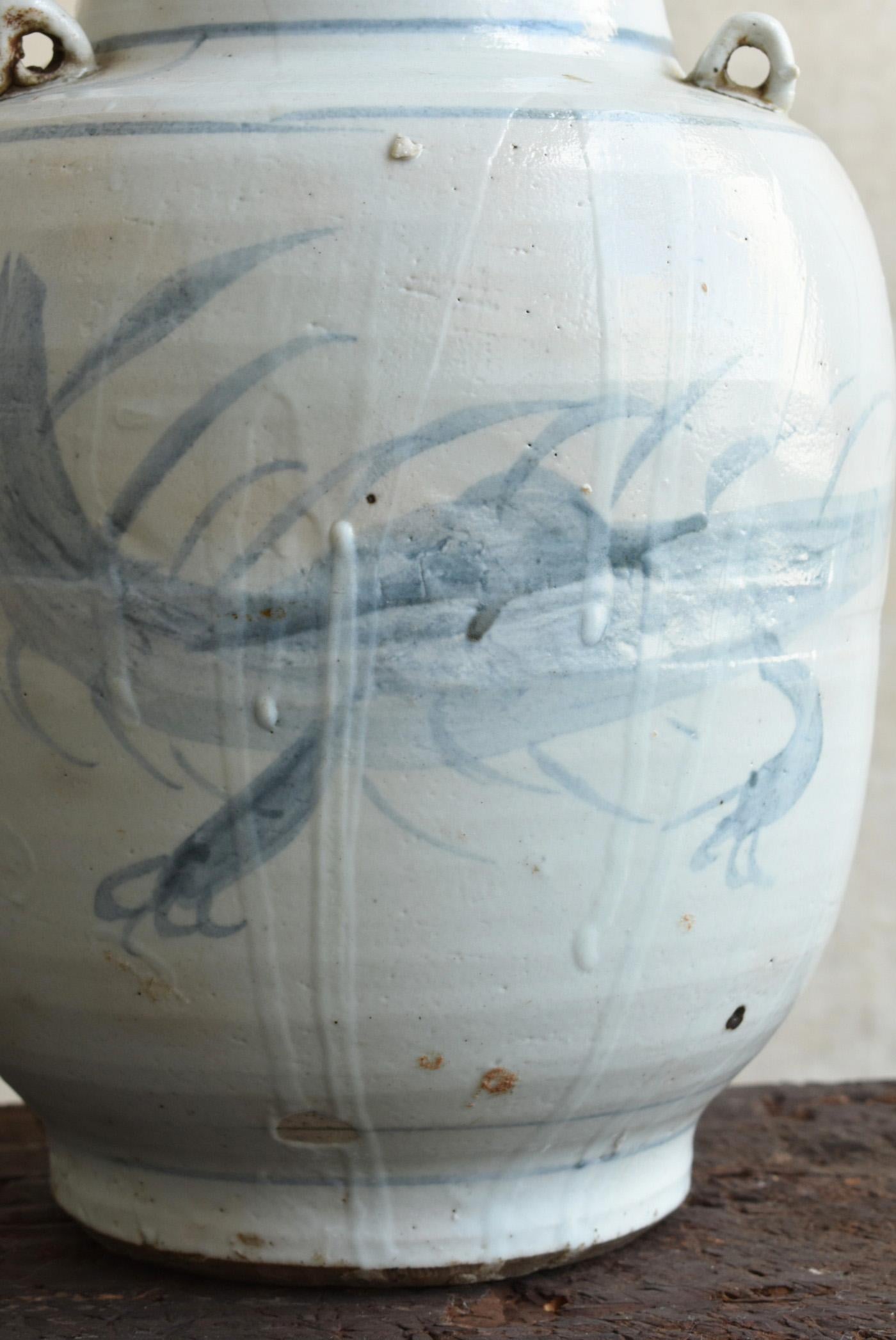 Chinesische antike Keramik gefärbte Vase/19. Jahrhundert/Qing Dynastie/Drachenmuster im Angebot 6