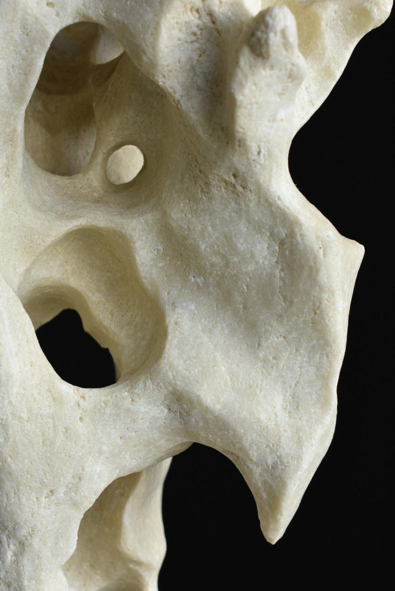 Chinese Antique Scholar Stone/Appreciation Stone/Taihu Stone/19 ...