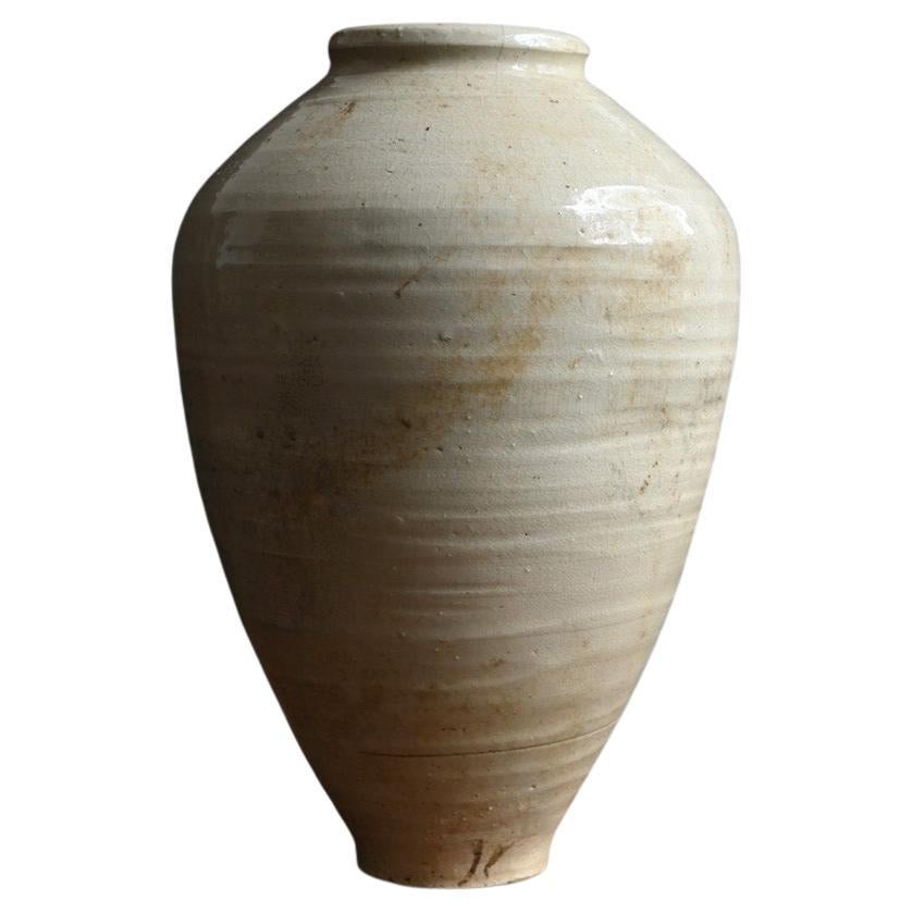 Chinese antique white pottery vase/17th century/excavated vase/