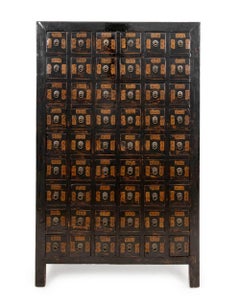 Chinese Apothecary Cabinet, 19th Century