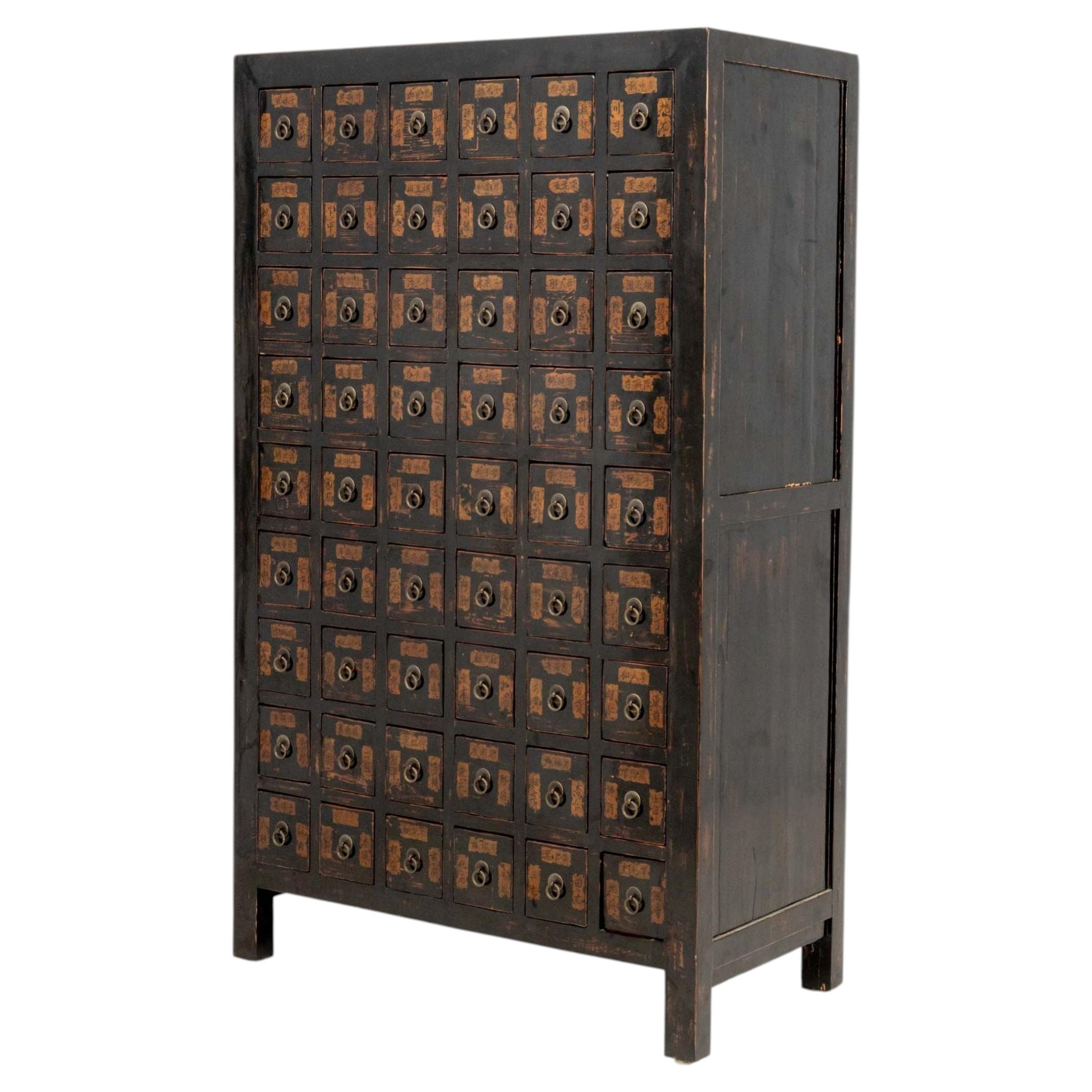 19th Century Chinese Black Lacquered Apothecary Cabinet, Qing Style