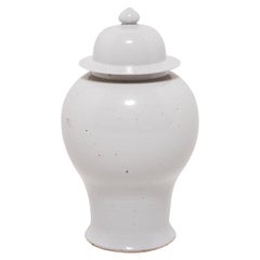 Chinese Bai White Ginger Jar