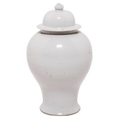 Chinese Bai White Ginger Jar