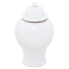 Vaso cinese di zenzero smaltato bianco