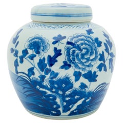 Chinese Blue and White Apothecary Jar