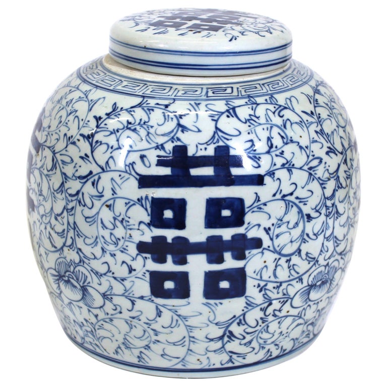 Chinese Blue and White Ceramic Ginger Jar For Sale