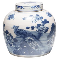Chinesisches blau-weißes chinesisches Glas mit Vögeln und Blumen