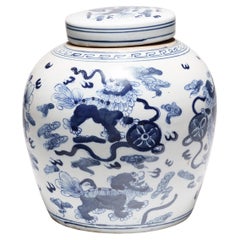 Chinese Blue and White Jar with Mythical Fu Lions