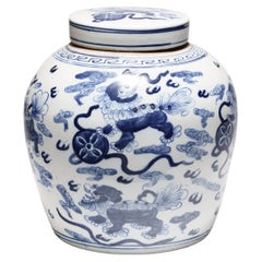 Jarra china azul y blanca con leones míticos de Fu