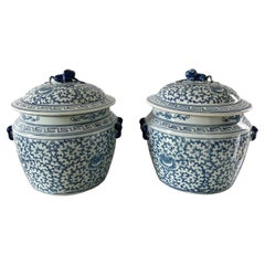 Chinese Blue and White Porcelain Covered Jars with Foo Dog Finials, Pair
