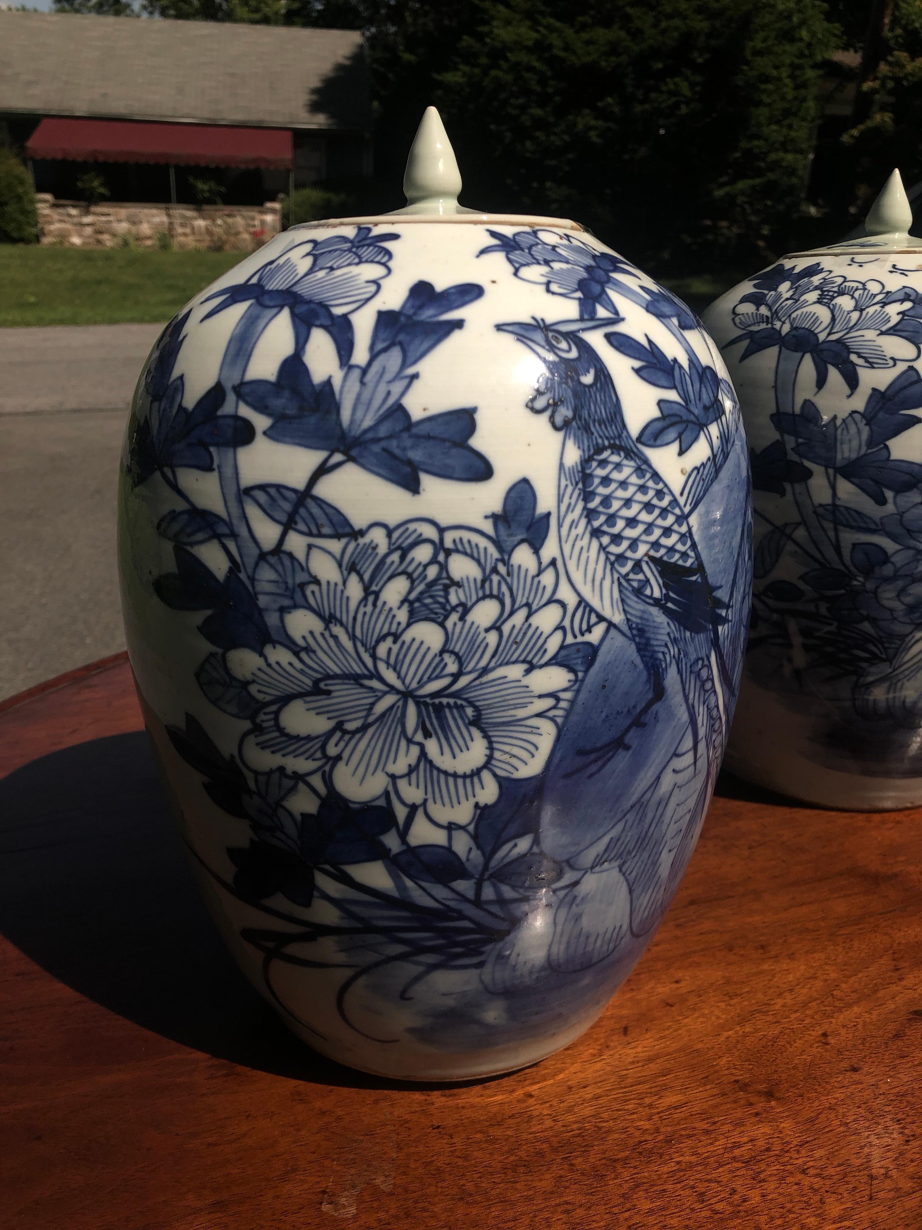 Chinese blue and white porcelain ginger jar 12 inches high with lid, late 19th century
Peafowl design great
No chips or cracks.