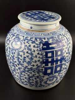 Chinese Blue and White Porcelain Ginger Jar with Cover - 9 In