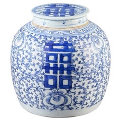 Chinese Blue and White Porcelain Ginger Jar with Cover - 9 In