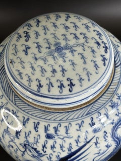 Chinese Blue and White Porcelain Ginger Jar with Phoenix Decoration - 8.7in