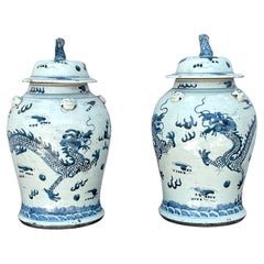 Tarros chinos de porcelana azul y blanca con tapa - Pareja