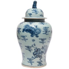 blue shizi Chinese Blue and White Shizi Jar
