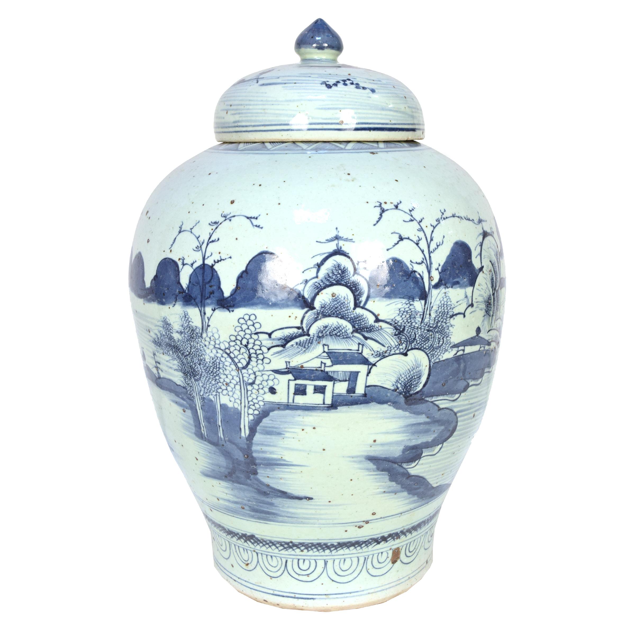 Vaso provinciale cinese con foglie di tè bianche e blu