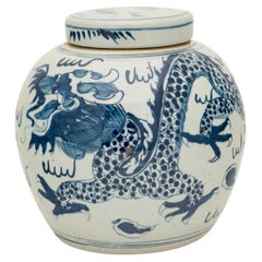 Chinese Blue & White Dragon Jar