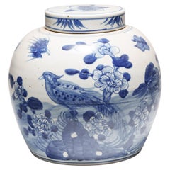 Chinese Blue & White Jar with Birds & Flowers