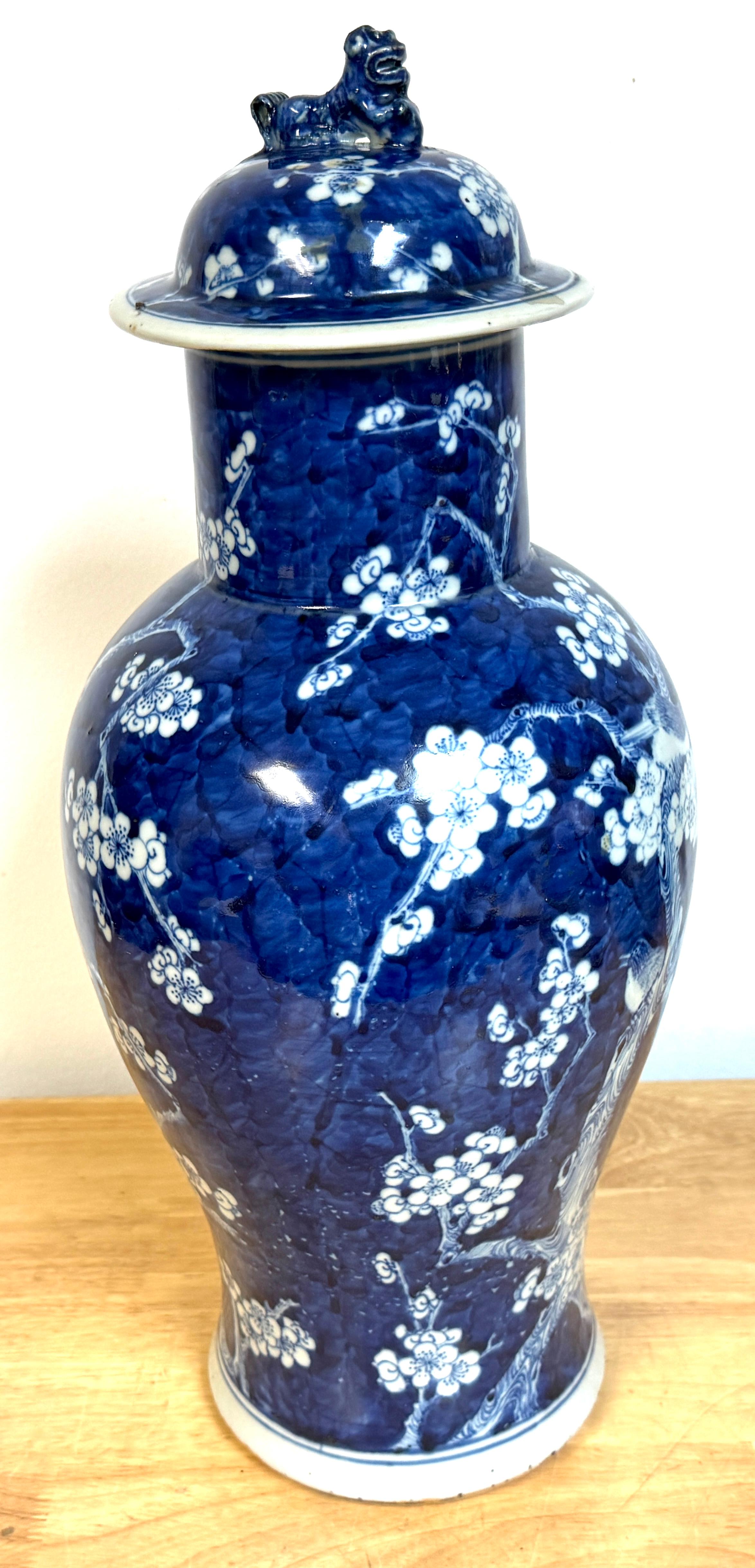 Chinese Blue & White 'Prunus & Birds' Jar/Vase & Cover Earlier Qing Dynasty For Sale 4