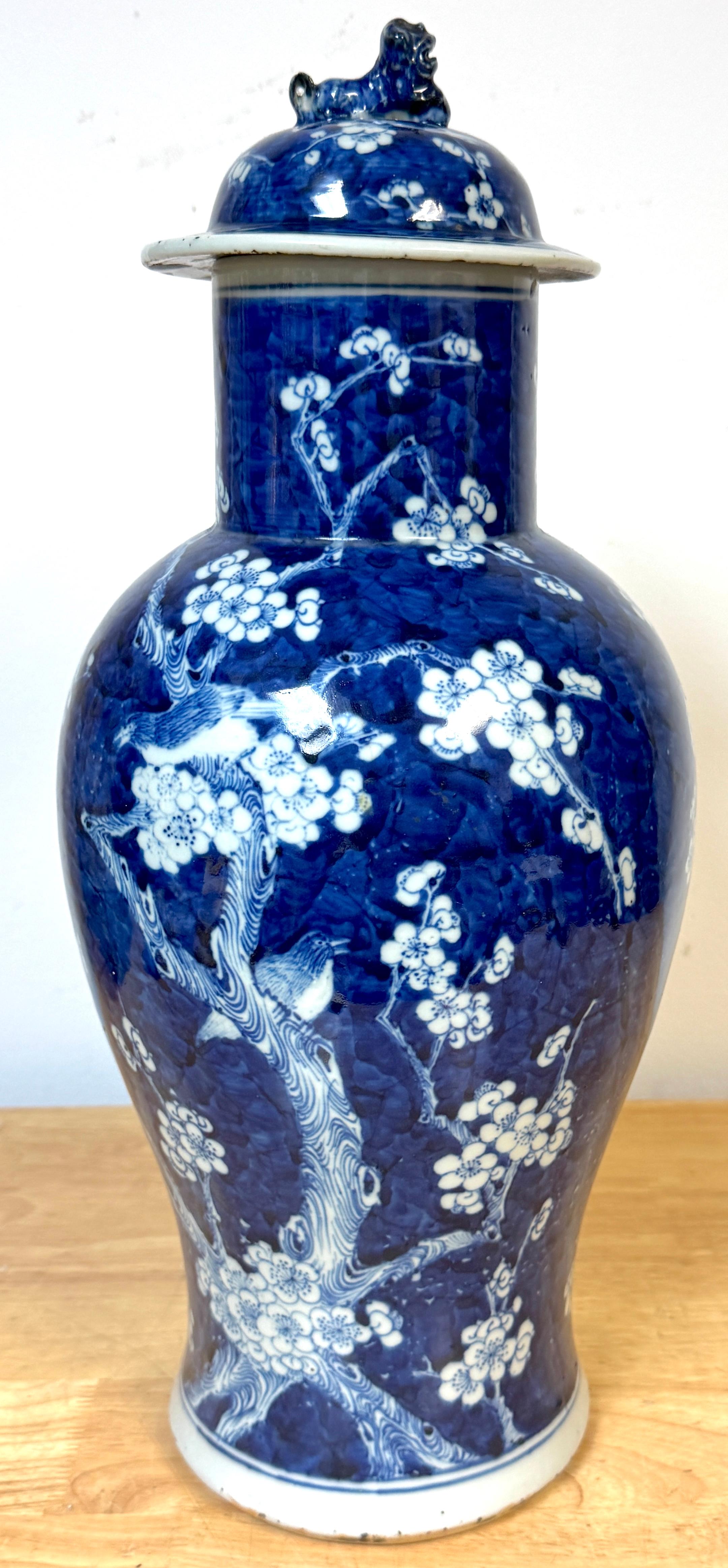 Chinese Blue & White 'Prunus & Birds' Jar/Vase & Cover Earlier Qing Dynasty For Sale 7