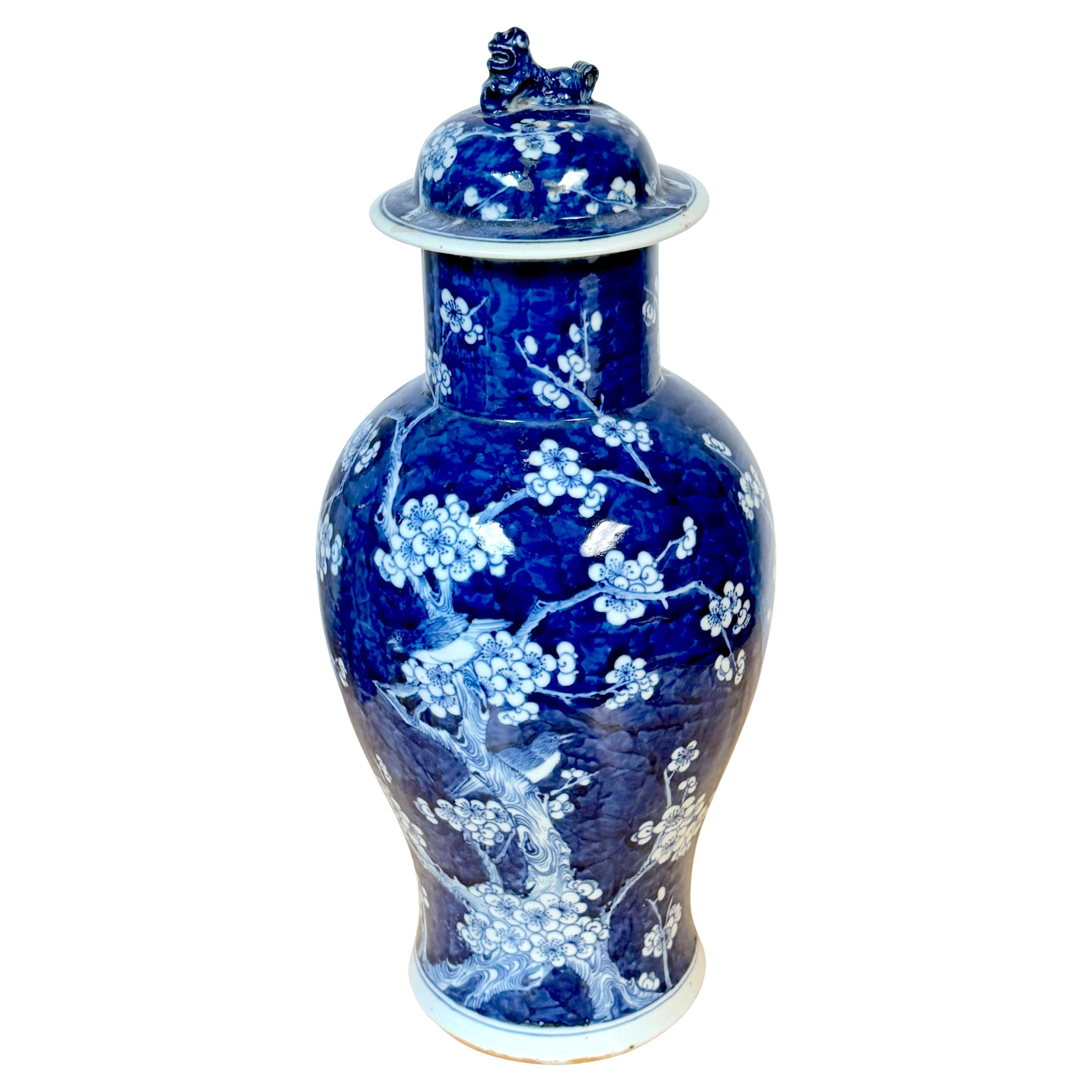 Chinese Blue & White 'Prunus & Birds' Jar/Vase & Cover Earlier Qing Dynasty For Sale 9