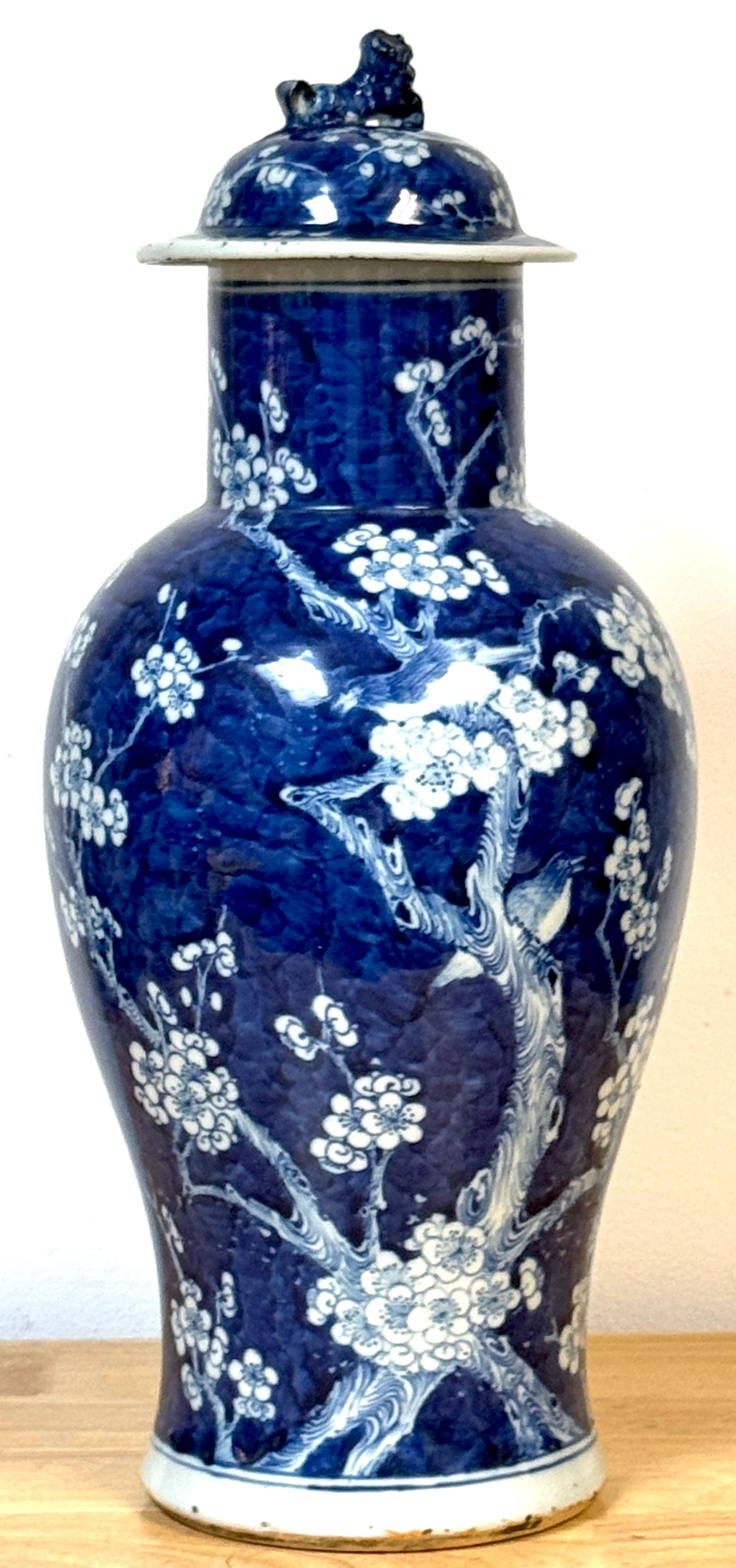 Chinese Blue & White 'Prunus & Birds' Jar/Vase & Cover Earlier Qing Dynasty For Sale 11