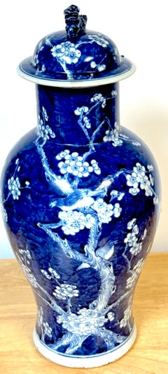 Chinese Blue & White 'Prunus & Birds' Jar/Vase & Cover Earlier Qing Dynasty