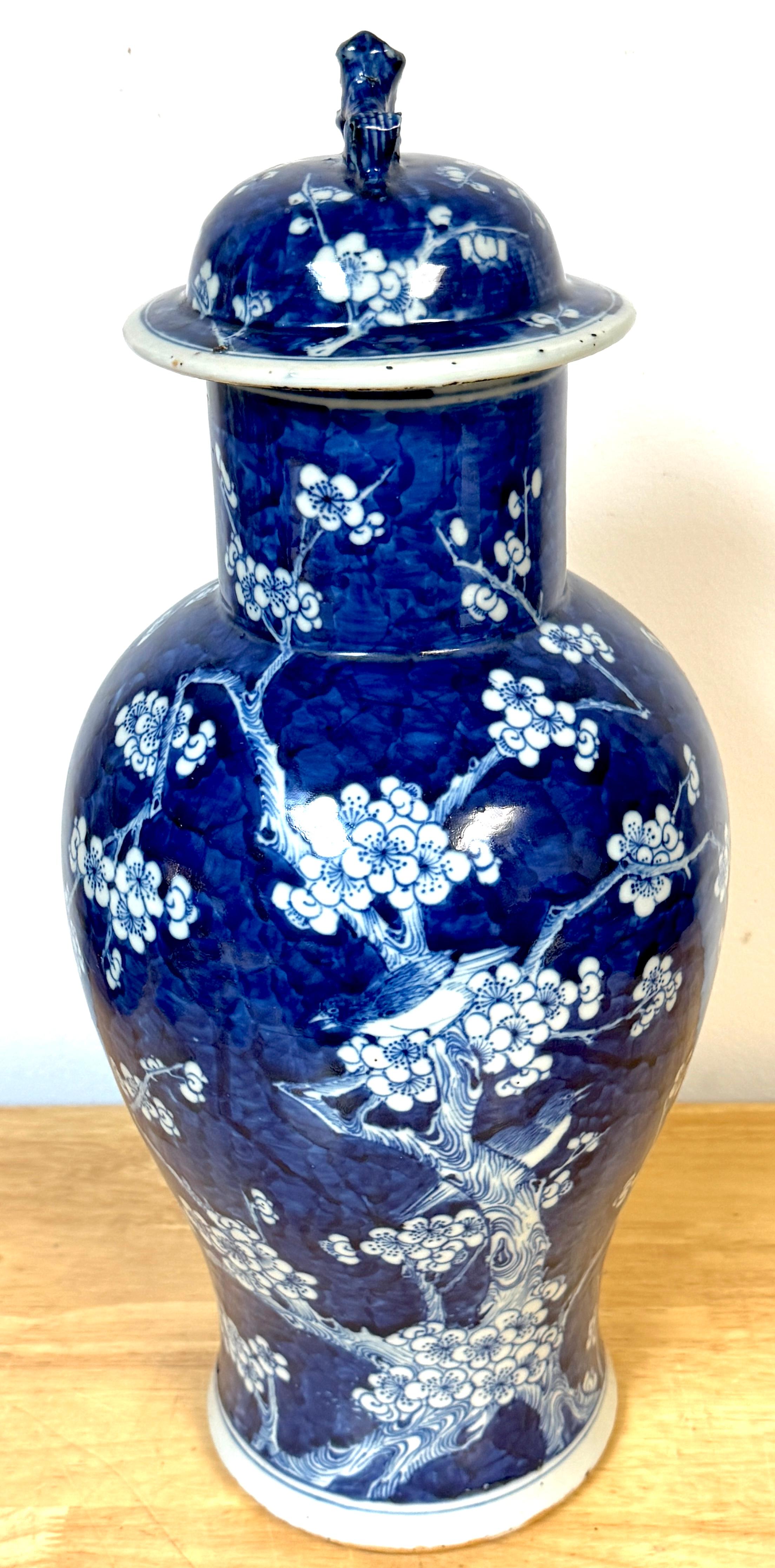 Chinese Export Chinese Blue & White 'Prunus & Birds' Jar/Vase & Cover Earlier Qing Dynasty For Sale