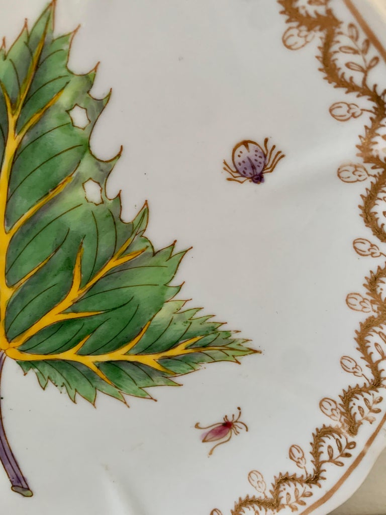 Chinese Botanical Wall Plates with Flora and Insects, Set of Three For ...